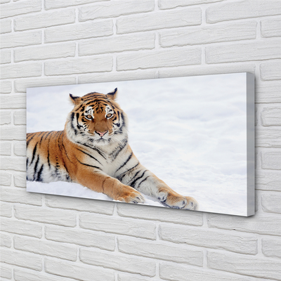 Slika na platnu Tiger zima