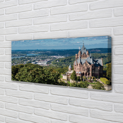 Slika na platnu Nemčija panorama mestnega gradu