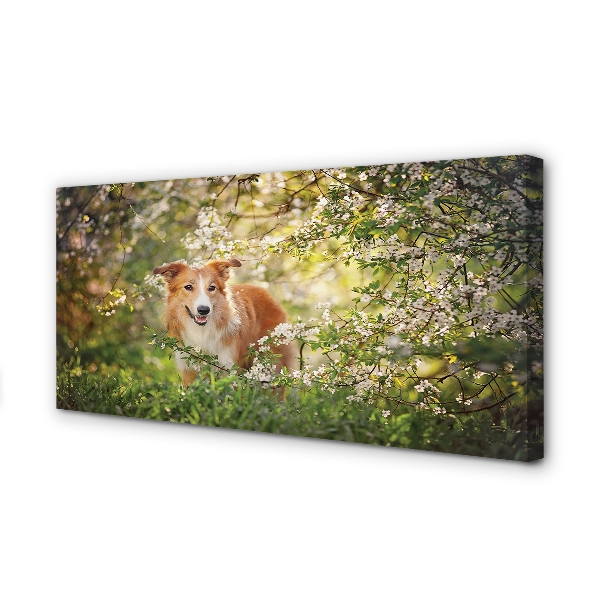 Slika na platnu Dog gozdne rože