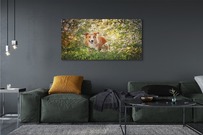 Slika na platnu Dog gozdne rože