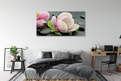 Slika na platnu Magnolia kamni