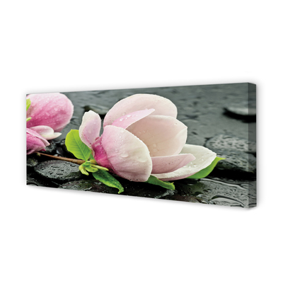 Slika na platnu Magnolia kamni