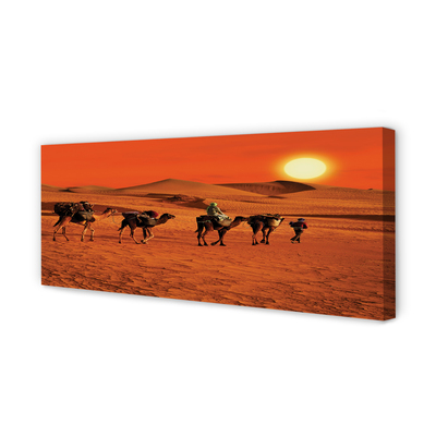 Slika na platnu Kamele ljudje puščavsko sonce nebo