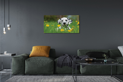 Slika na platnu Prerijski pes