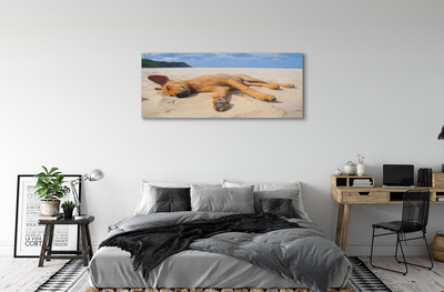 Slika na platnu Leži pasjo plažo