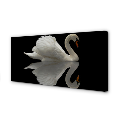 Slika na platnu Swan v noči