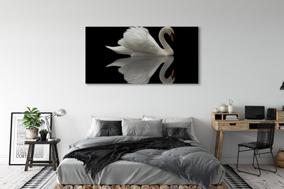 Slika na platnu Swan v noči
