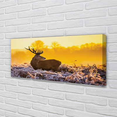 Slika na platnu Deer zimski sončni vzhod
