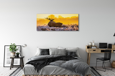 Slika na platnu Deer zimski sončni vzhod