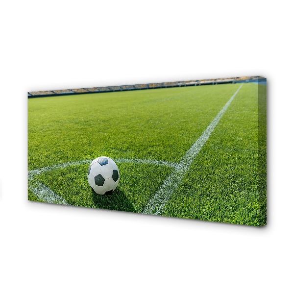 Slika na platnu Nogometni stadion trava