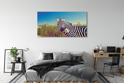 Slika na platnu Zebra cvetje