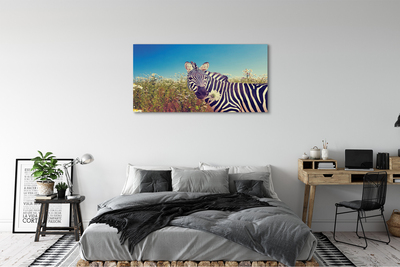 Slika na platnu Zebra cvetje