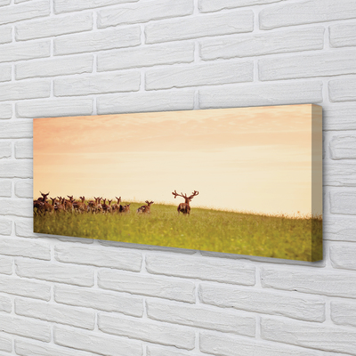 Slika na platnu Čreda jelenov polja vzhoda