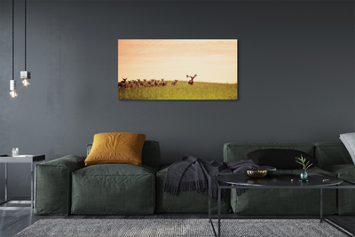 Slika na platnu Čreda jelenov polja vzhoda