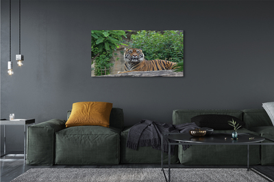 Slika na platnu Tiger woods