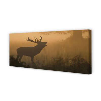 Slika na platnu Deer sunrise