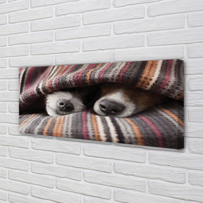 Slika na platnu Speči psi
