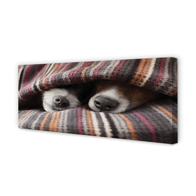 Slika na platnu Speči psi