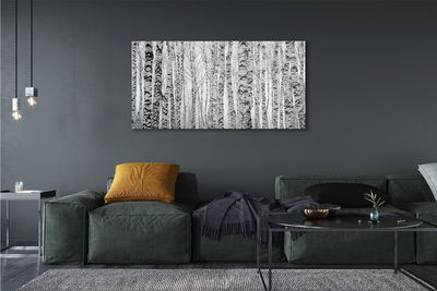 Slika na platnu Črno-bele breze