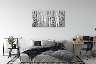 Slika na platnu Črno-bele breze