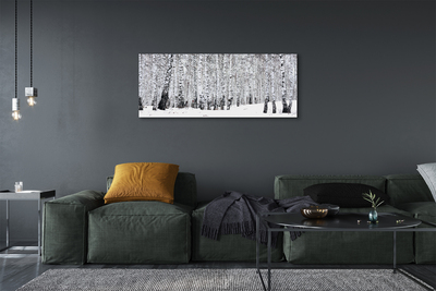 Slika na platnu Zimske breze
