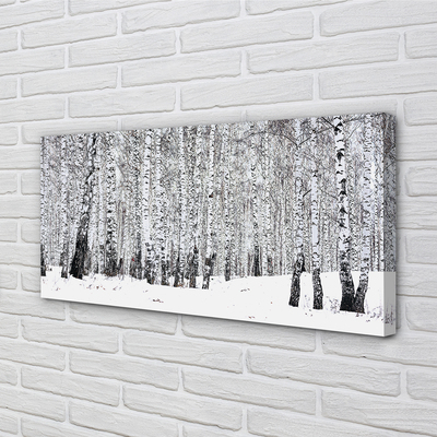 Slika na platnu Zimske breze