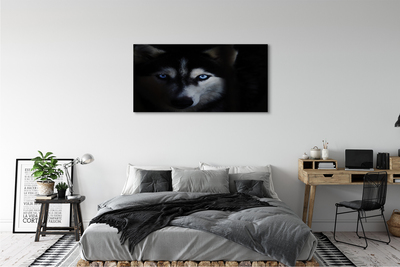 Slika na platnu Volk ​​oči