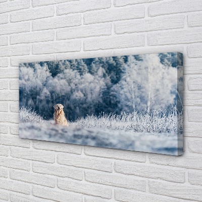 Slika na platnu Zimska planšarski pes