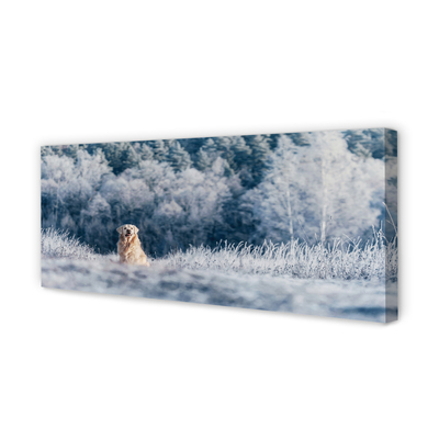 Slika na platnu Zimska planšarski pes