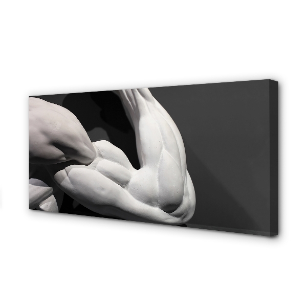 Slika na platnu Mišice črno-belo