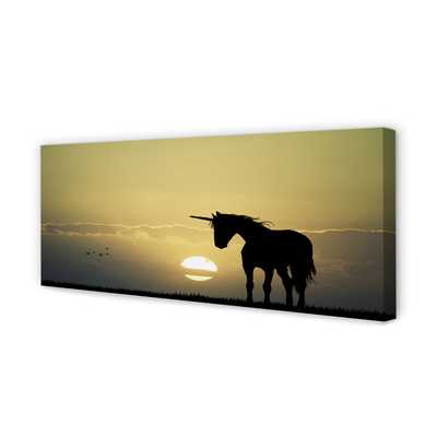 Slika na platnu Polje sunset samorog