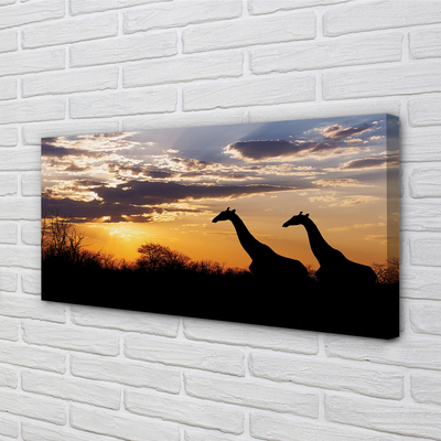 Slika na platnu Žirafe drevo oblaki
