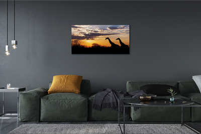 Slika na platnu Žirafe drevo oblaki
