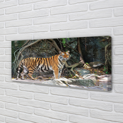 Slika na platnu Tiger jungle