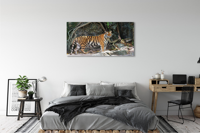 Slika na platnu Tiger jungle
