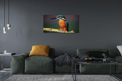 Slika na platnu Colorful ptica na veji