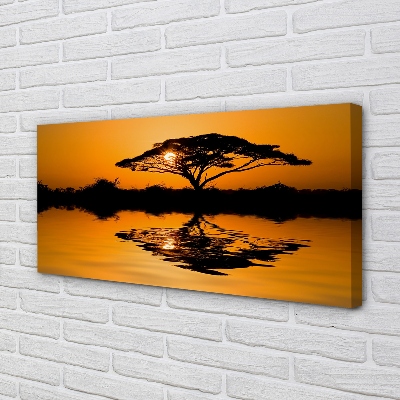Slika na platnu Sunset drevo