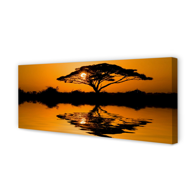 Slika na platnu Sunset drevo