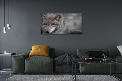 Slika na platnu Wolf