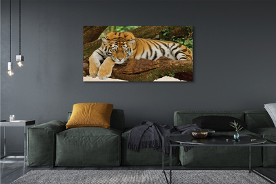 Slika na platnu Tiger drevo