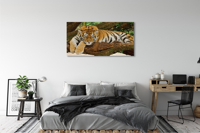 Slika na platnu Tiger drevo