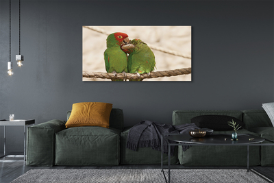 Slika na platnu Zelene papige