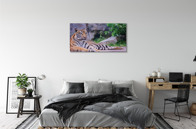 Slika na platnu Tiger v živalskem vrtu