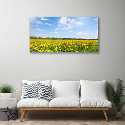 Slika na platnu Dandelion travnik