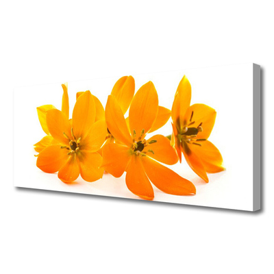Slika na platnu Orange rastlin cvetje