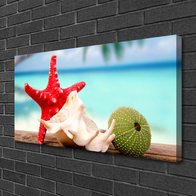 Slika na platnu Shell starfish art