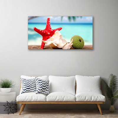 Slika na platnu Shell starfish art