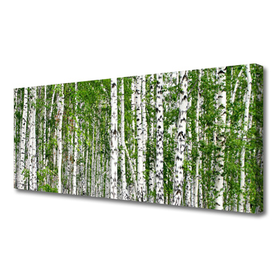 Slika na platnu Birch tree forest narava