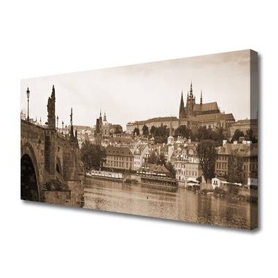 Slika na platnu Praga bridge landscape