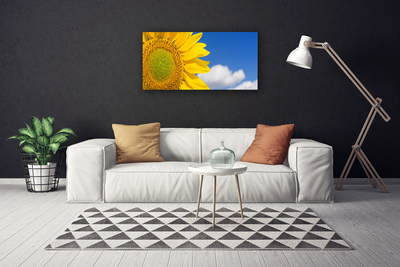 Slika na platnu Sončnična heaven oblaki